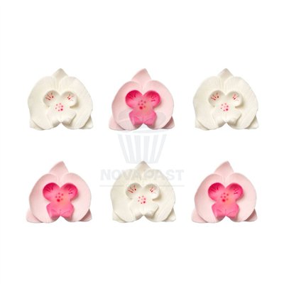 Flores de Açúcar Orquídea Rosa e Branca - Set de 6 Peças