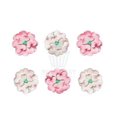 Fleurs en sucre Cornus rose et blanc - Set de 6 pièces