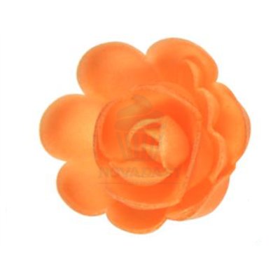 FLORENSUC PINK WAFER 50 MM. PINK APRICOT 36 UNITS