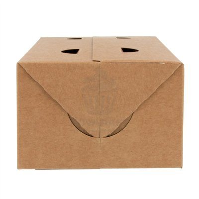 50 BOÎTES KRAFT À EMPORTER 1 LITRE 11X18X7 CM