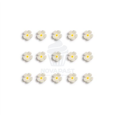 DECORA ESTOJO 30 MINI FLORES DE AÇÚCAR BRANCAS