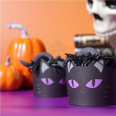 PME SET DE 12 MOLDES+CÁPSULA HALLOWEEN GATO NEGRO