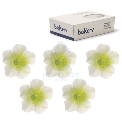 Azaleas de Açúcar Brancas e Verdes - Set de 12 Peças