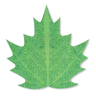 Feuilles réalistes en azyme 6/7/8 cm - Set Modecor 272