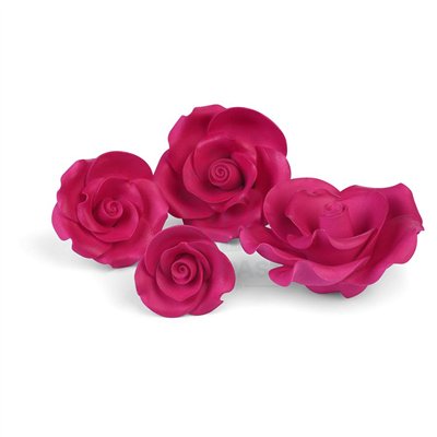 CONJUNTO DE 17 ROSAS FUCSIA GRANDES 4-8 CMS MODECOR