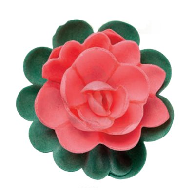 FLORENUSUC BOÎTE DE 18 NÉNUPHARS ROUGES GAUFRETTE 75MM