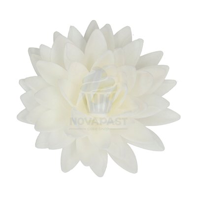FUNCAKES FLOR PAPEL COMESTIBLE PEONIA BLANCA 12CM