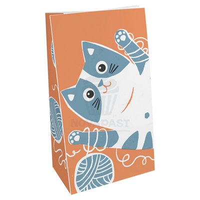 SET 1.000 BOLSAS AMERIC. 70 GR 24X14+8CM CAT