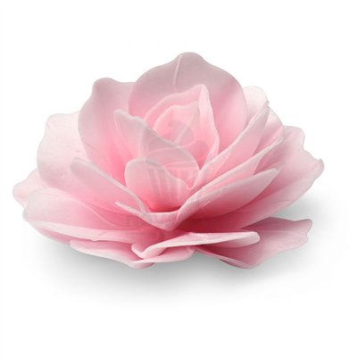 MODECOR ROSA GRANDE DE OBLEA ROSA 12,5 CM