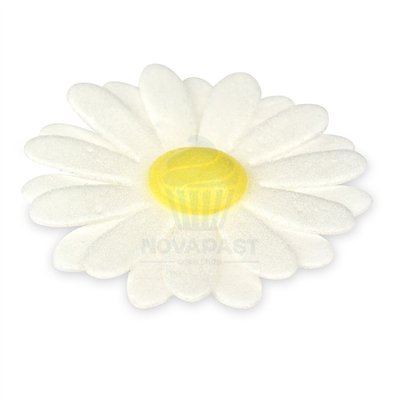 MODECOR 100 MARGARITAS DE OBLEA BLANCA DOBLE 4,5CM