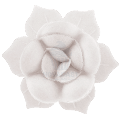 CAJA 100 FLORES OBLEA NARCISOS BLANCOS 50MM