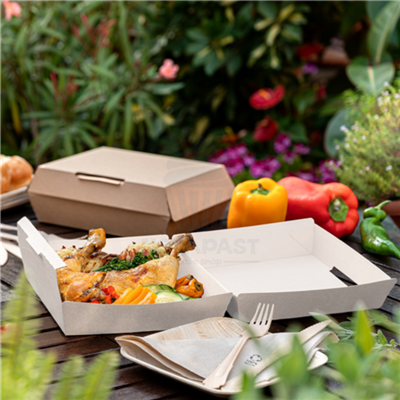 SET 50 CAJAS BANCO LUNCH TAKE AWAY 22,5X17X8,5 CM