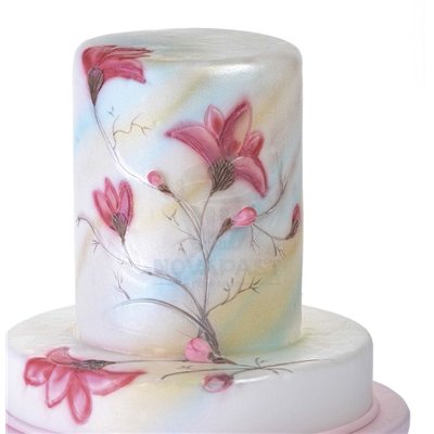 Color Spray "Rojo" Modecor (Bote 250 ml.)