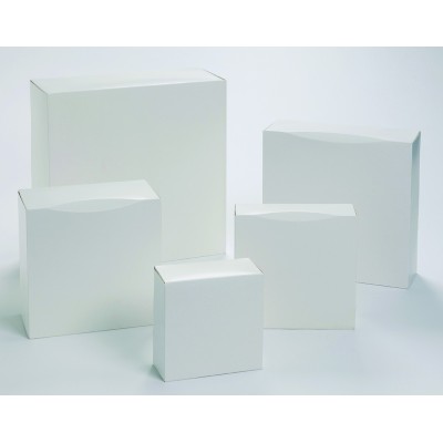 CAJA PARA PASTAS BLANCA 22X22 "ALTURA 8CMS" (UND)