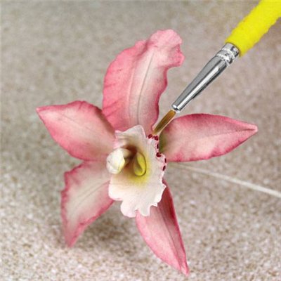 Pincéis Brocha Fina PME: Precisão para Confeitaria