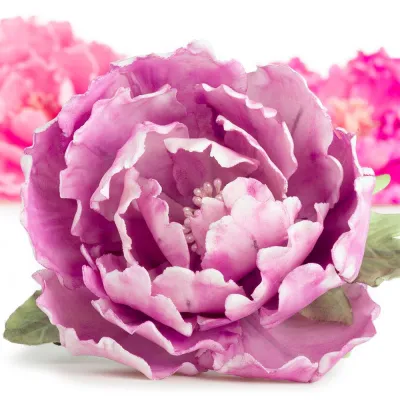 "Kit Decora: 7 Cortadores de Flor Peonía para Repostería Creativa"