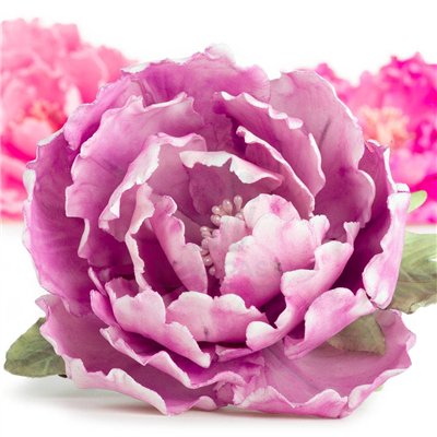 Kit de 7 Découpeurs Fleur Pivoine pour Décoration