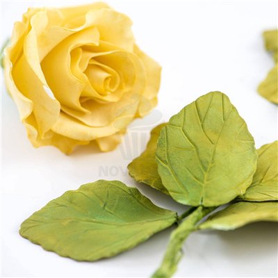 "Kit Decora: 4 Cortadores de Hojas de Rosa para Repostería Exquisita"