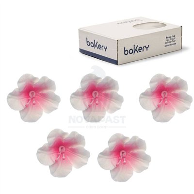 Azalées blanches et roses 4cm - Set de 12 décorations