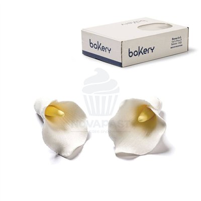 "Set de 12 Lirios de Azúcar Decorativos 4cm para Tartas - Decora"