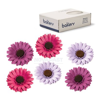 Gerberas de Açúcar Lila/Fúcsia/Violeta - Set 12 Peças