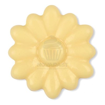 MODECOR Set 144 Margaritas Chocolate: Dulce Elegancia