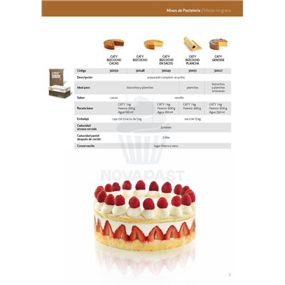 Bizcocho Plus Caty: Delicias esponjosas en cada bocado.