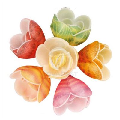 FLORENSUC Set of 72 Striped Multicolor Roses: Sweet Elegance