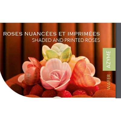 FLORENSUC Set of 72 Striped Multicolor Roses: Sweet Elegance